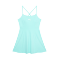 Women’s Paneled A-Line Dress